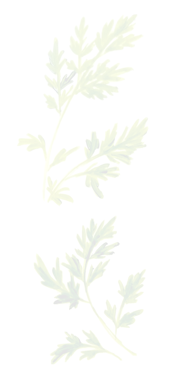 deco